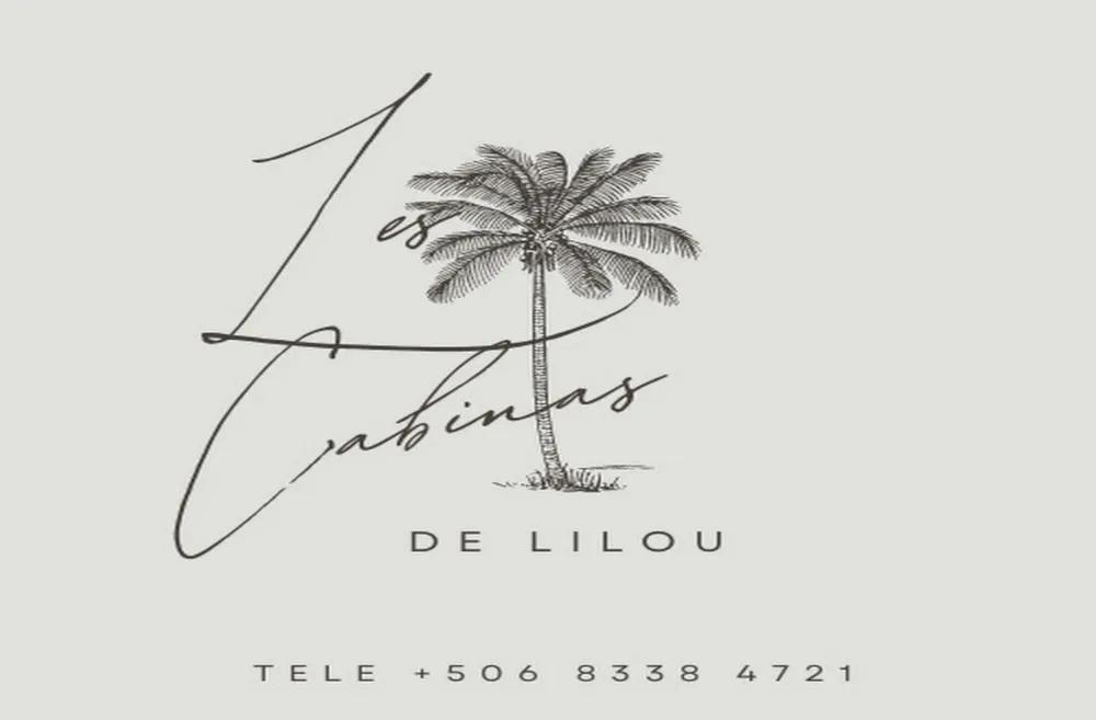 logotipo y teléfono +12899270464